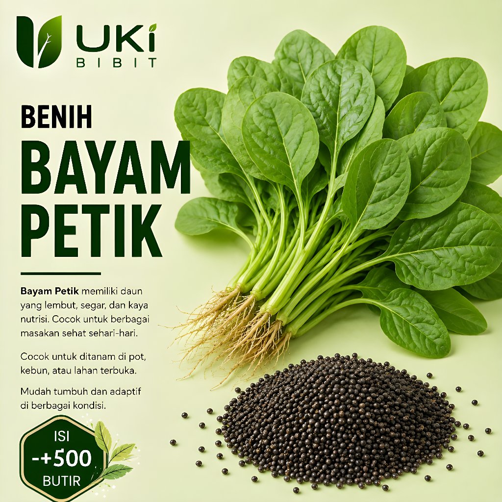 ( 500 Butir ) Benih Biji Bayam Petik | Bayam Kakap | Bayam Daun Lebar