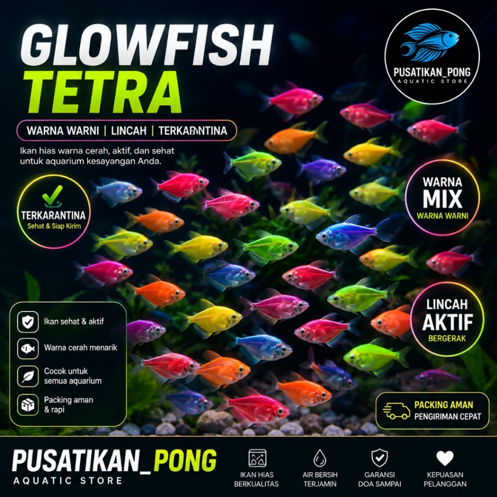 Promo diskon Glowfish Tetra Mix Color | Warna Cerah Lincah Terkarantina