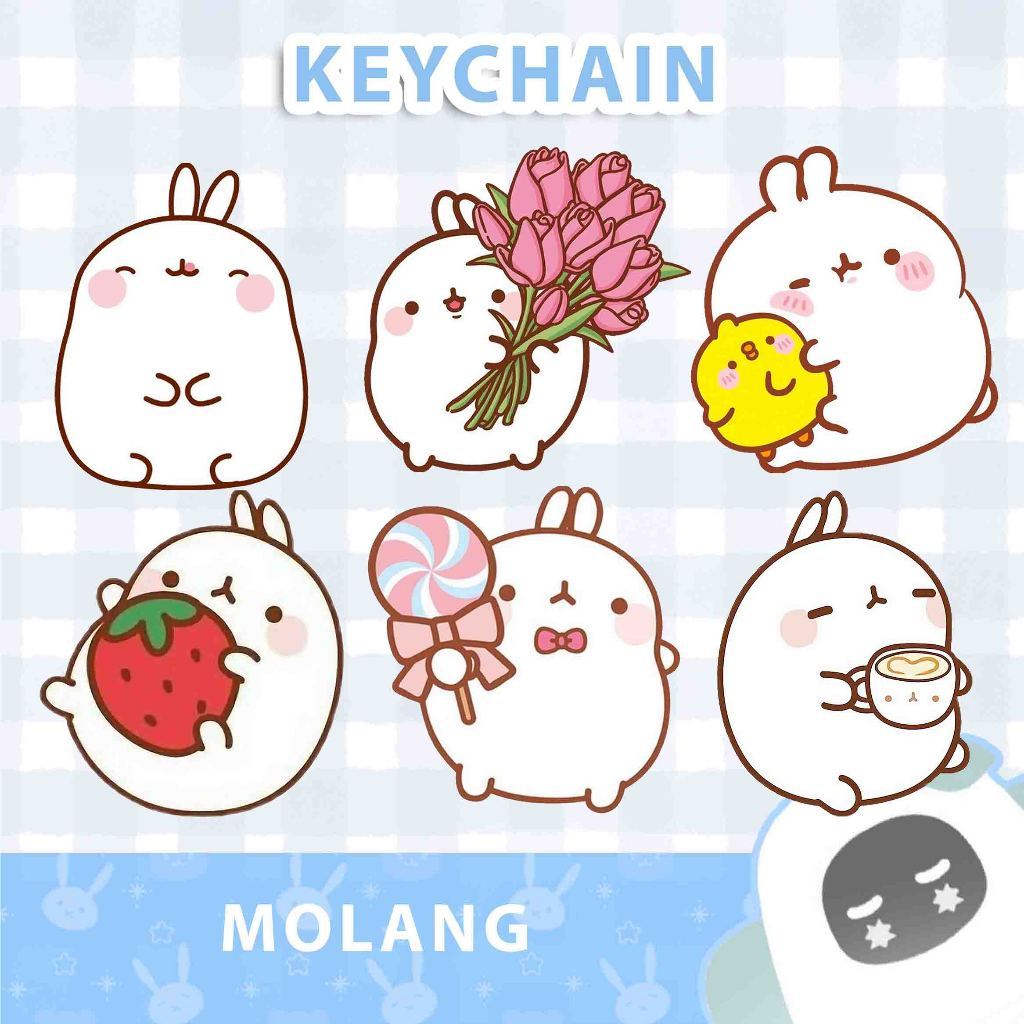 Gantungan Kunci Akrilik / Keychain MOLANG