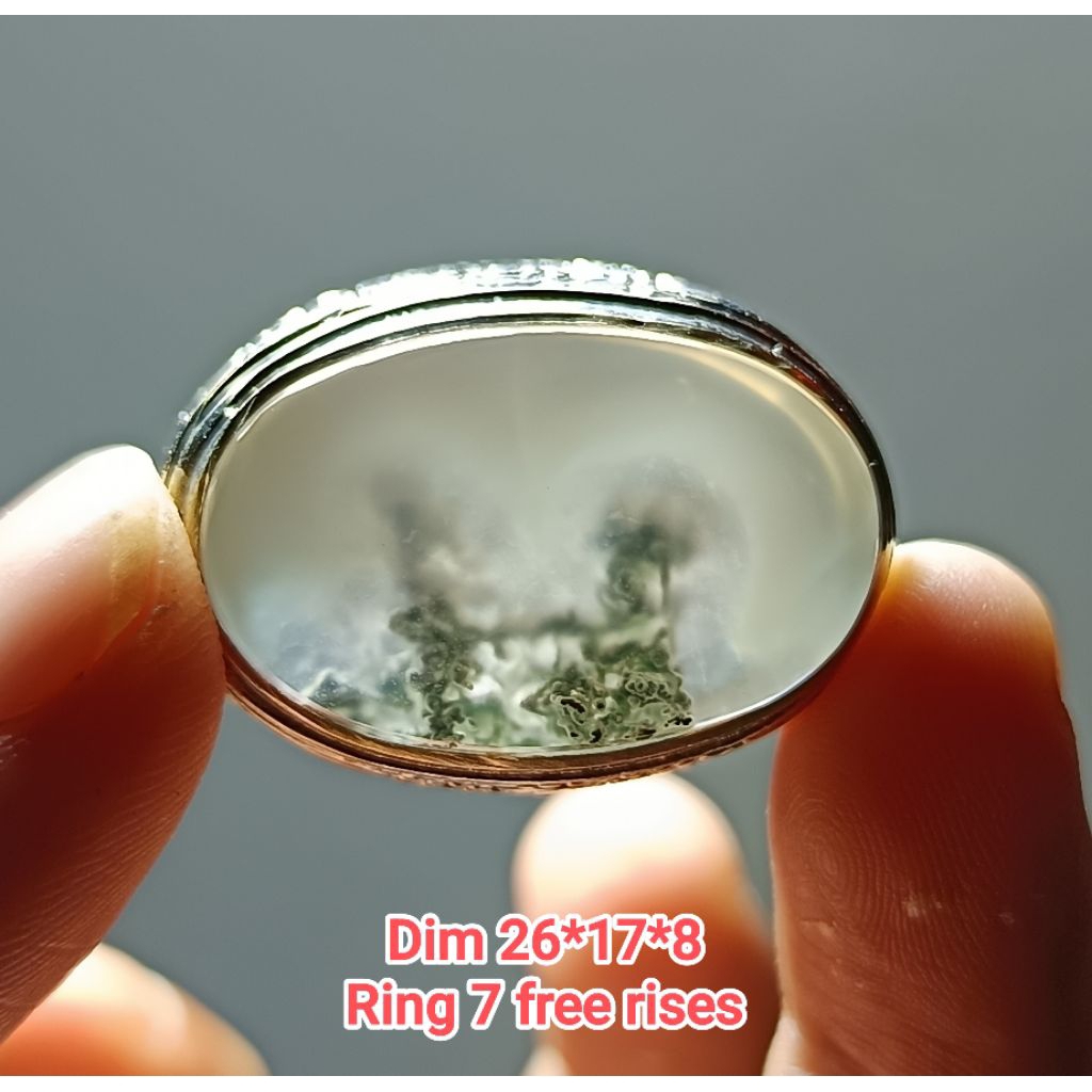 Cincin Lumut Suliki Kristal