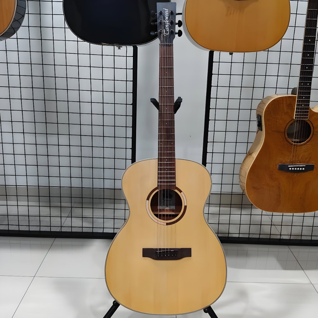 Gitar Akustik TANGLEWOOD STRADA TS3 / TANGLEWOOD TS 3