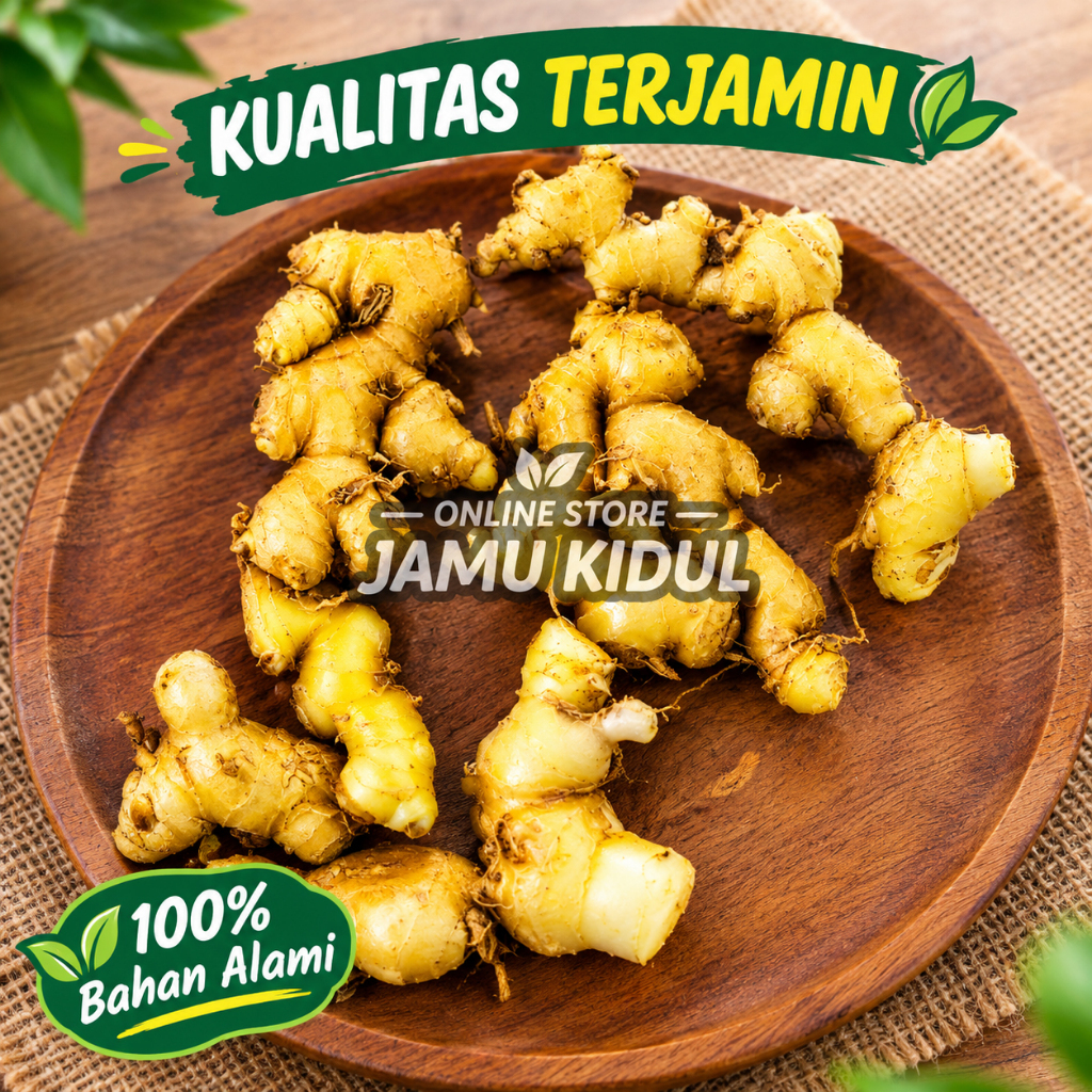 Lempuyang Emprit Segar 250gr