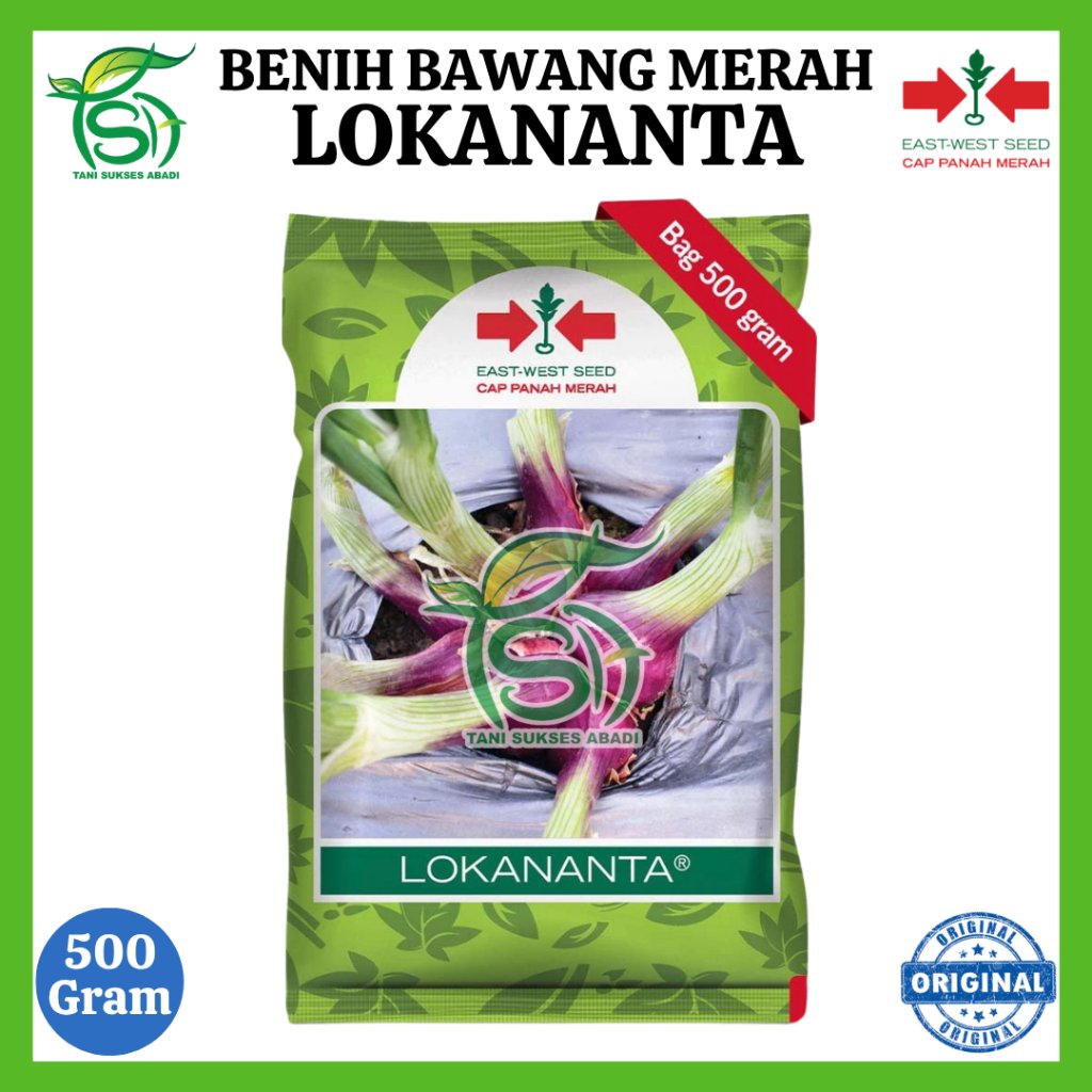Benih Bawang Merah LOKANANTA - 500 Gram - Cap Panah Merah - 100% ORIGINAL - Sayuran Segar Kadaluarsa