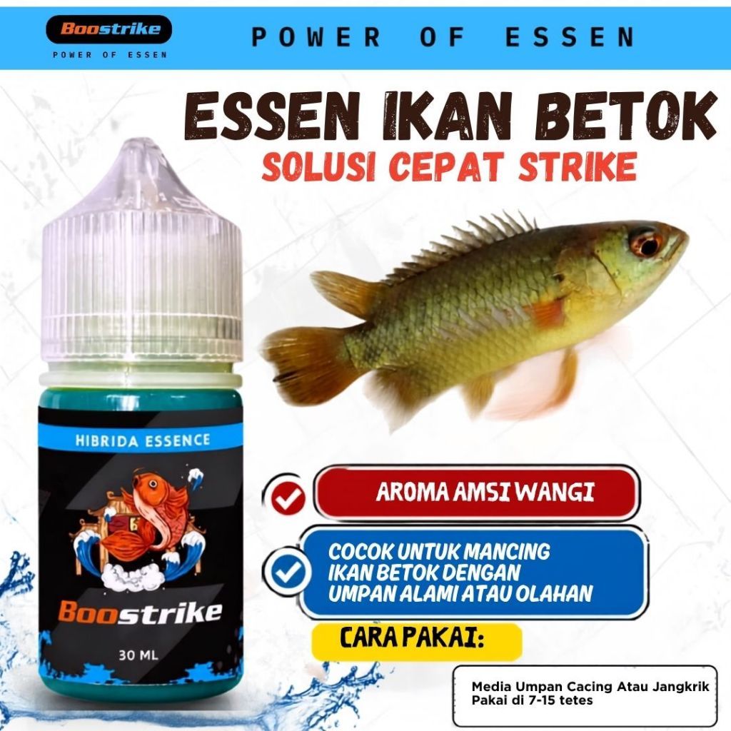 Essen Ikan Betok Paling Ampuh, Umpan Ikan Betok, Mancing Ikan Betok | Boostrike
