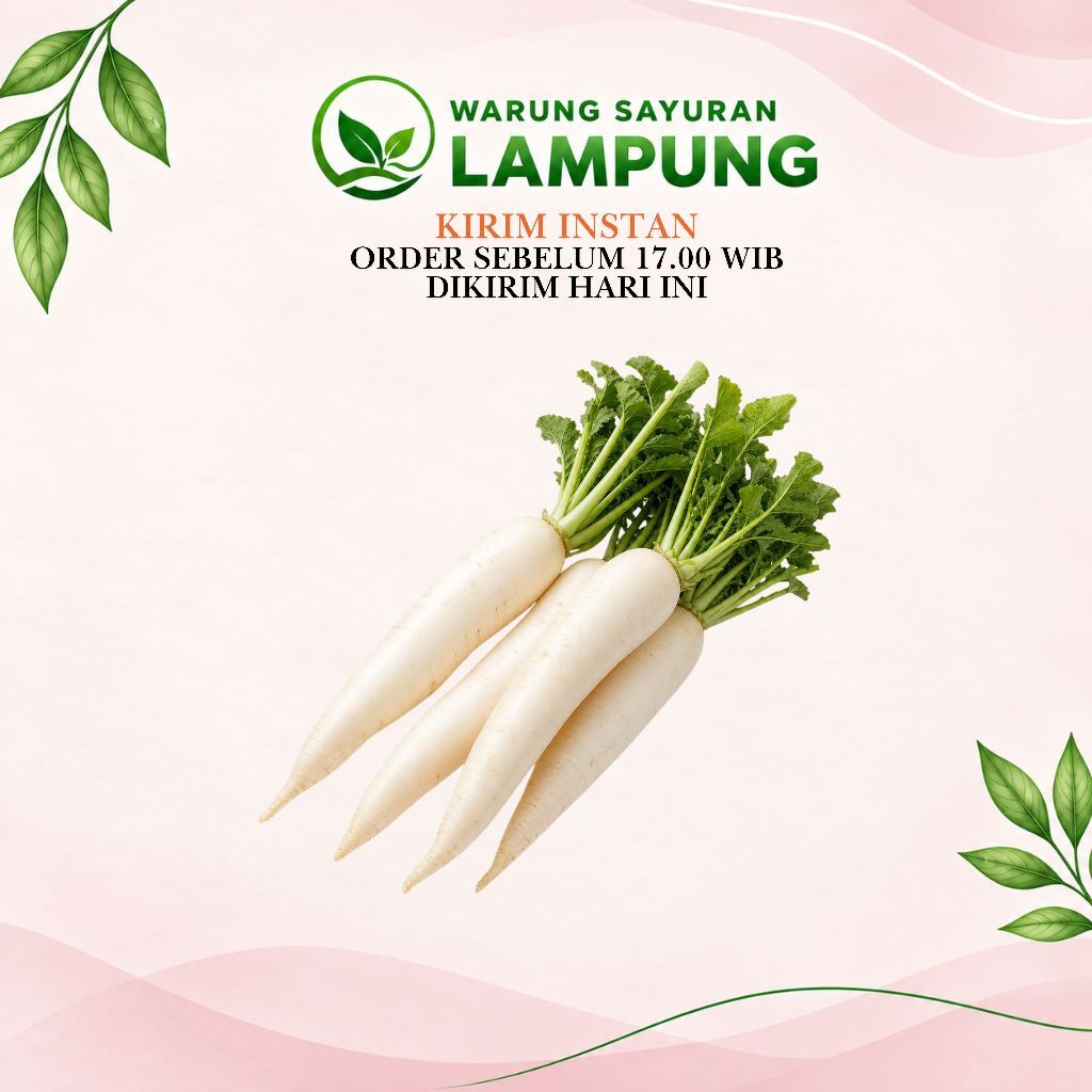 Sayur Fresh Lobak Putih Segar | Warung Sayuran Lampung