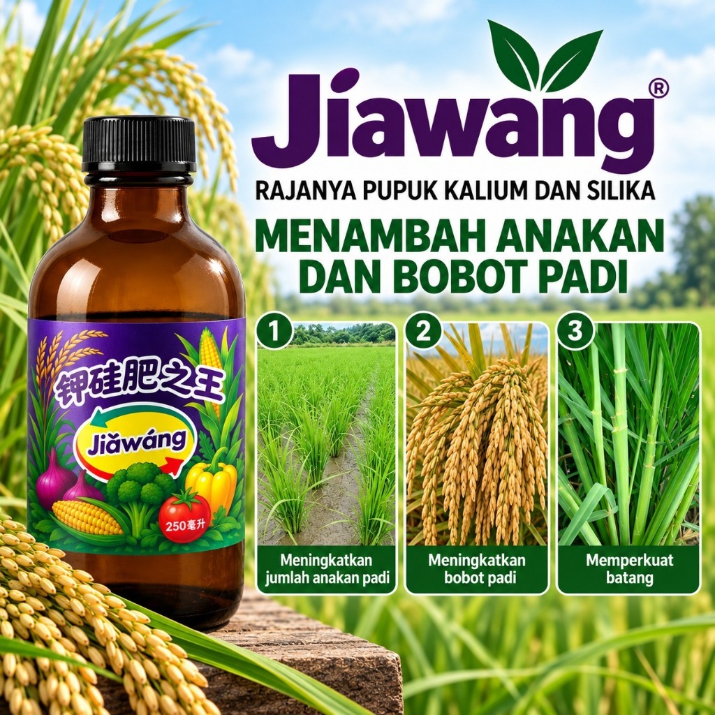 Jiawang Jia Wang Pupuk Cair Kalium Silica Murni Semua Tanaman, Pupuk Kalium Silika