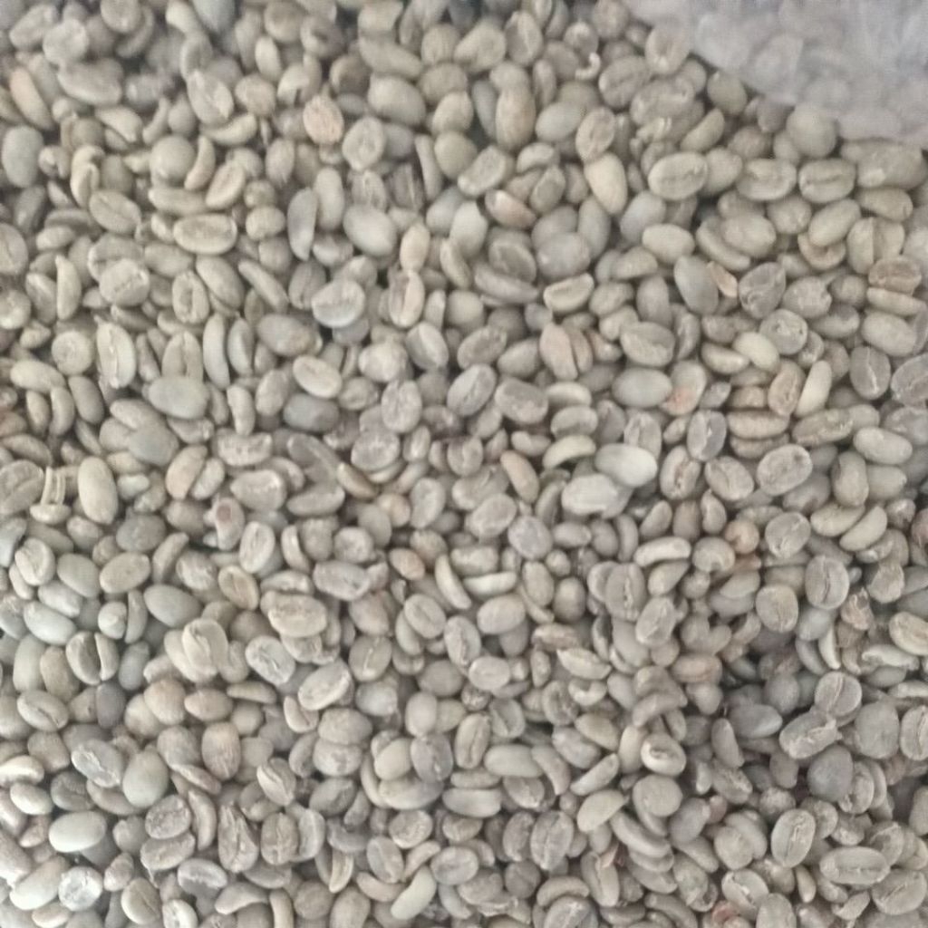 Green Bean Arabika Fullwash