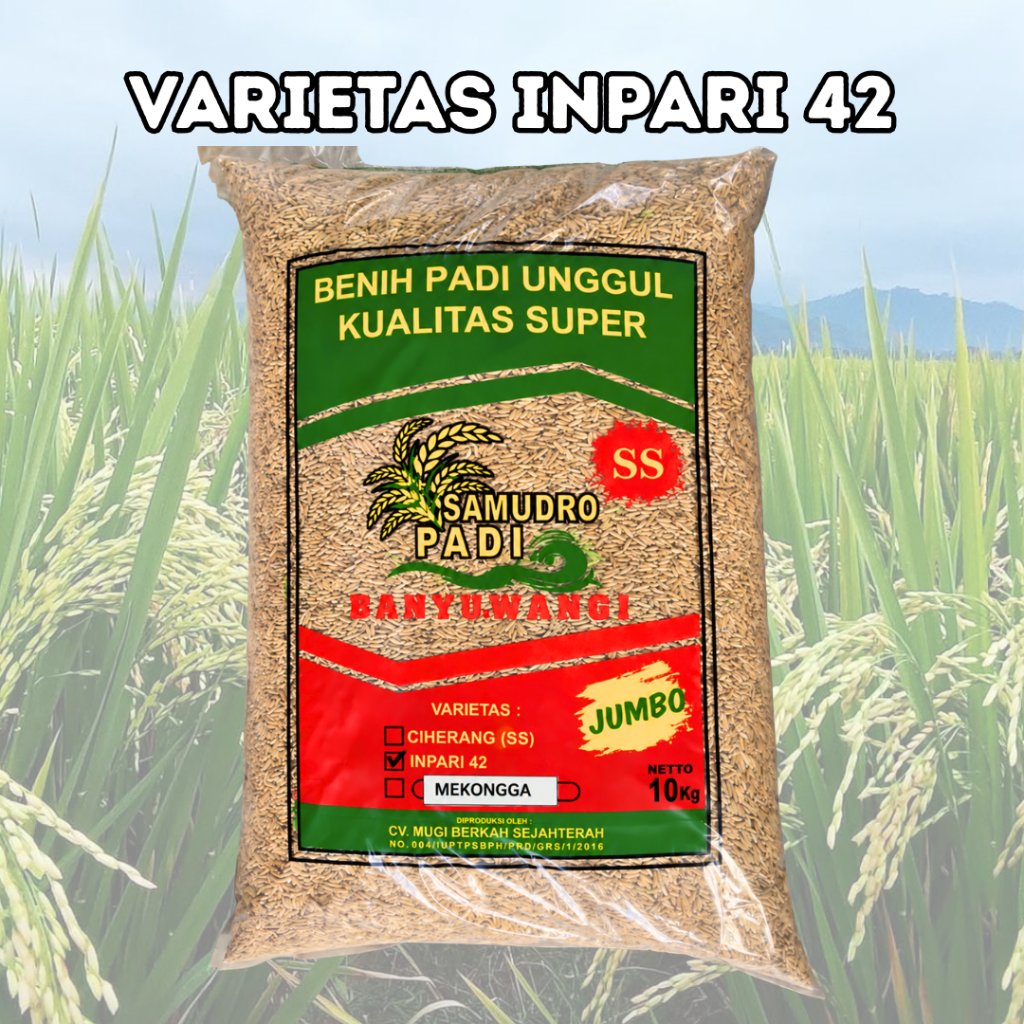 Benih Padi Unggul Samudro Padi Varietas Inpari 42 Kemasan 10kg