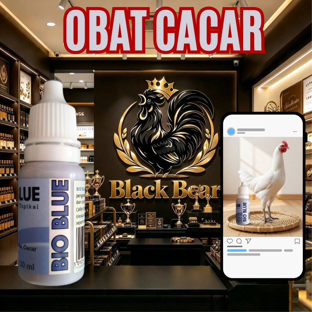 obat ayam brendel cacar ayam dan perawatan kaki jago