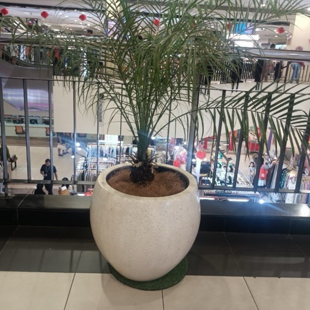Pot bakul teraso/pot tanaman