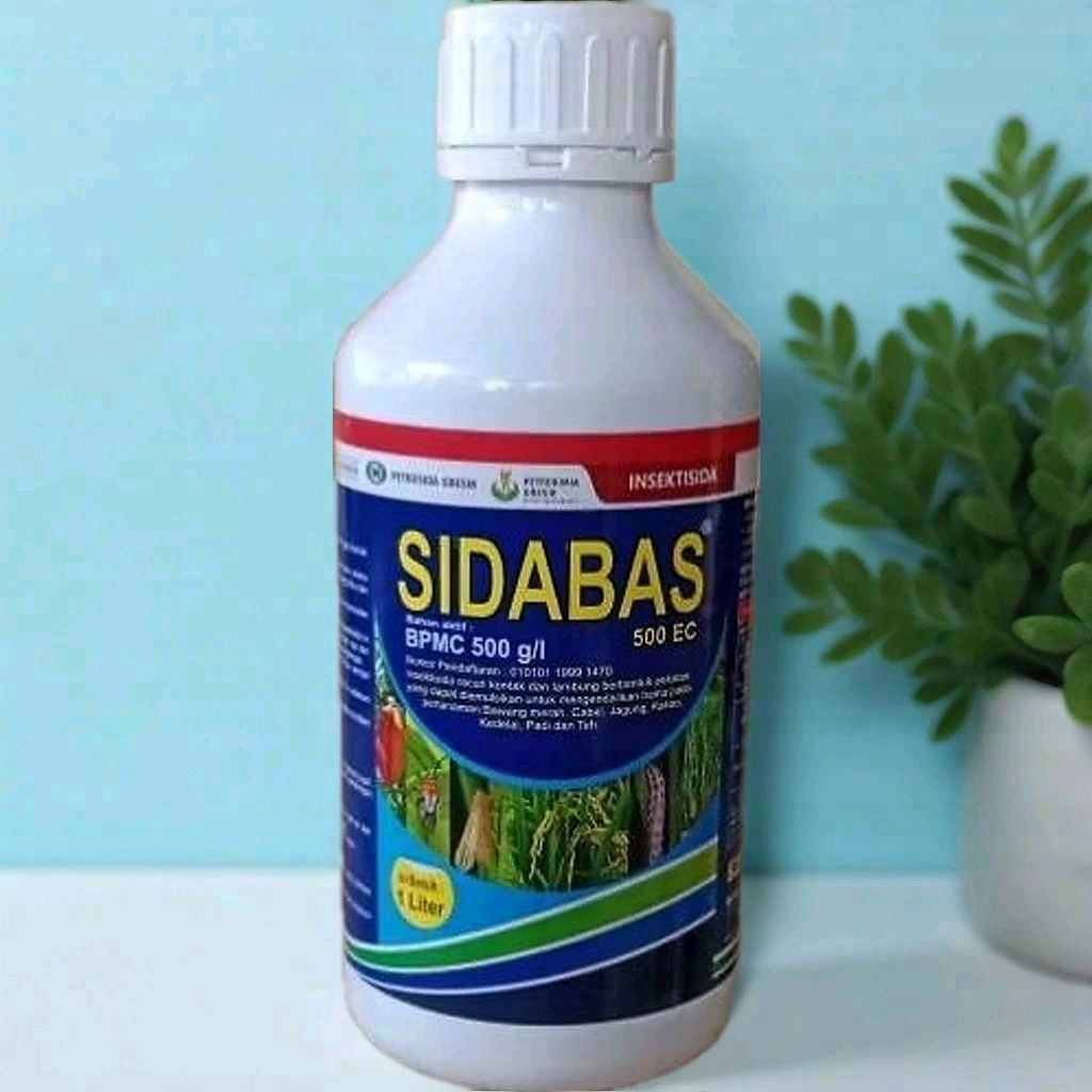 Insektisida SIDABAS 500EC.Bahan aktif: BPMC 500g/l.kemasan 1liter