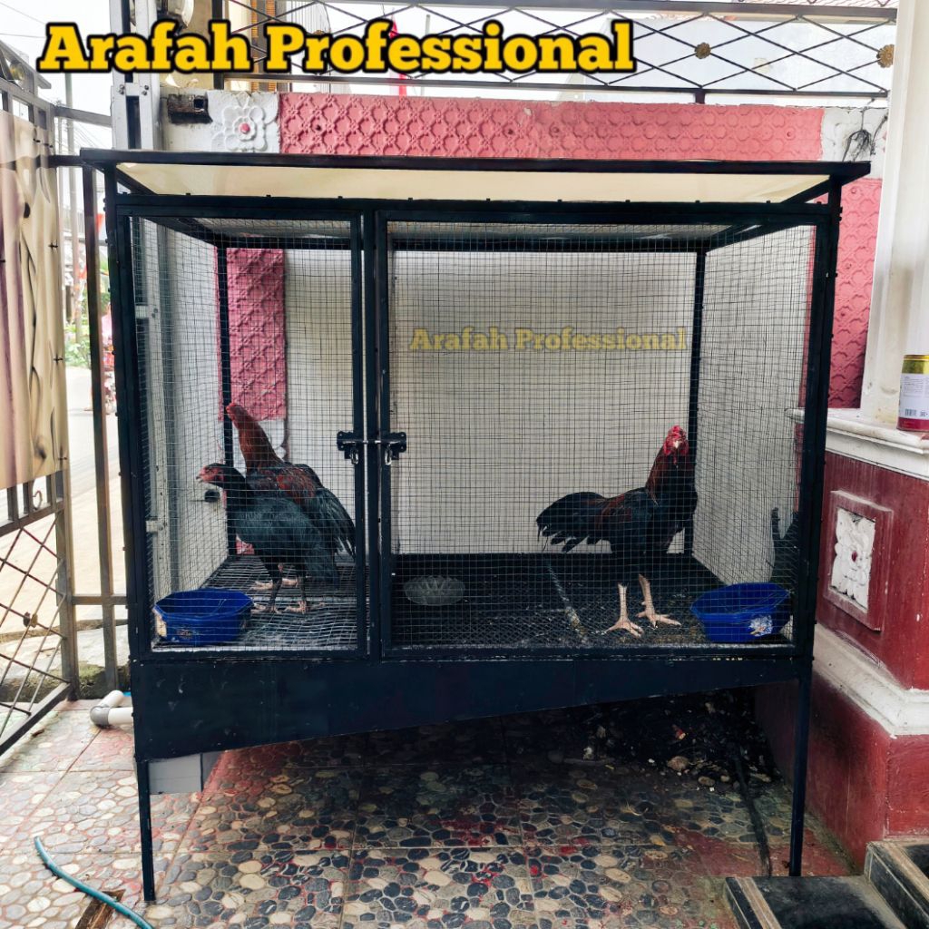 Kandang Ayam Besi Sekat 2 Pintu | Kandang Ayam Jago/Petarung Kokoh Anti Karat