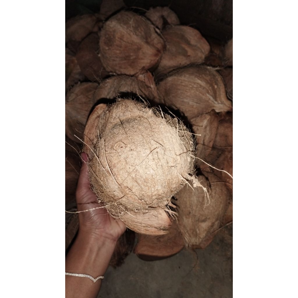 

Kelapa bahan santan berat 500-1000 gr