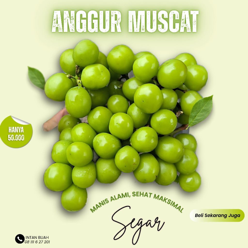 

BUAH ANGGUR SHINE MUSCAT PACK 1KG PREMIUM | BUAH ANGGUR MUSCAT PREMIUM IMPORT FRESH MANIS