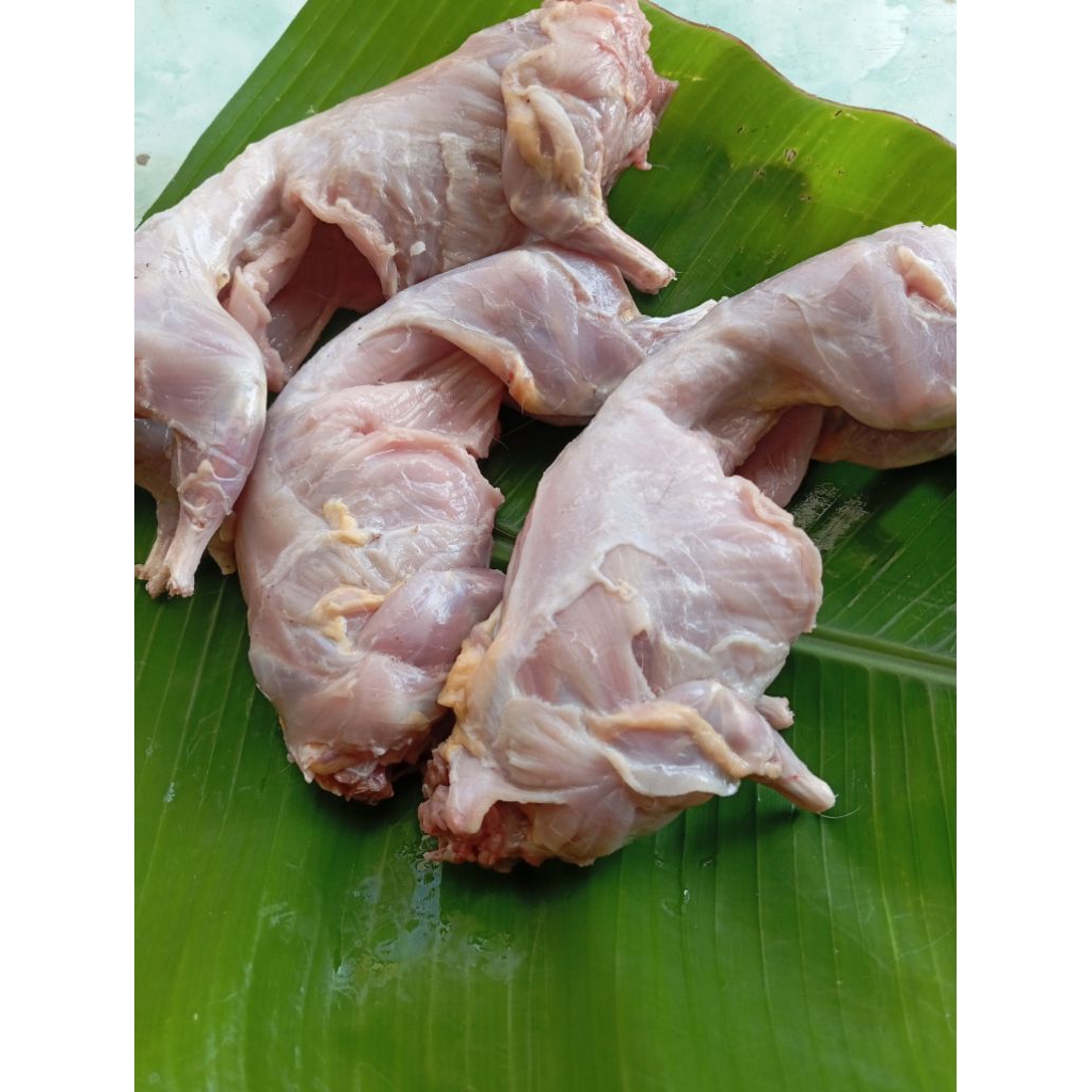 

Daging Marmut Asap Non Fat