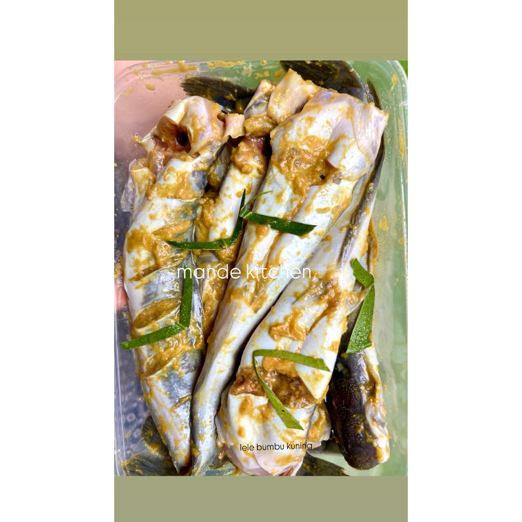 

IKAN SIAP GORENG - READY INSTAN