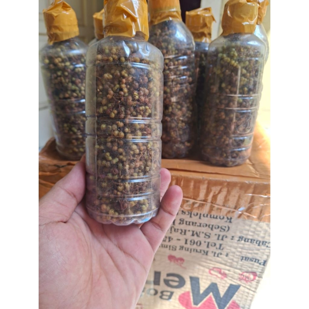 

Andaliman fresh 125 gr