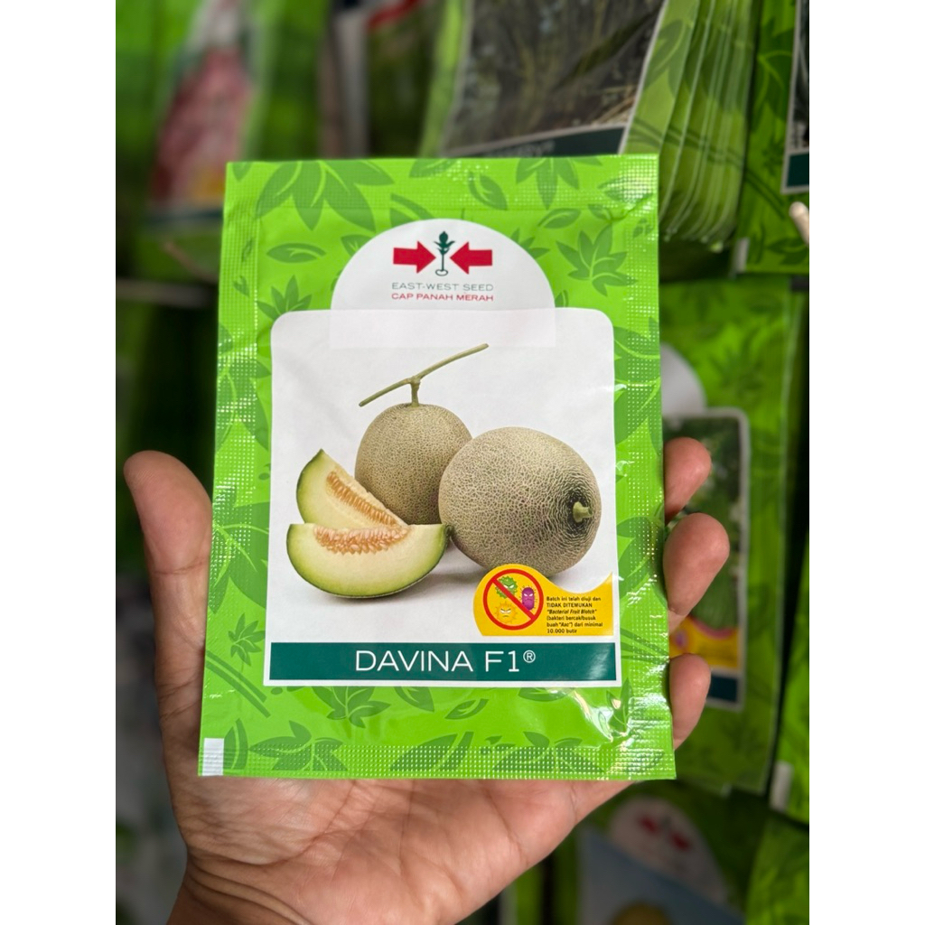 Benih Melon Hibrida DAVINA F1 isi 500 Biji