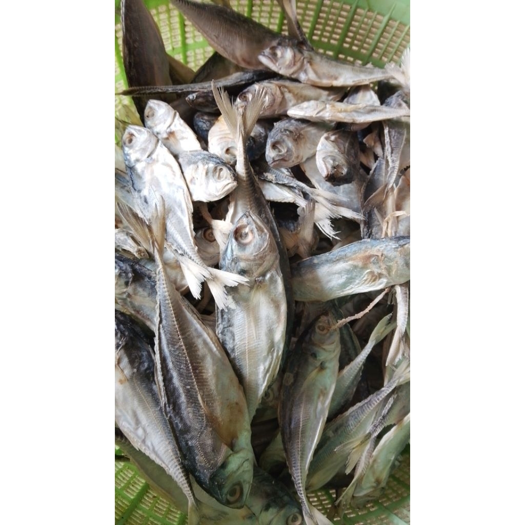 

ikan asin kokok
