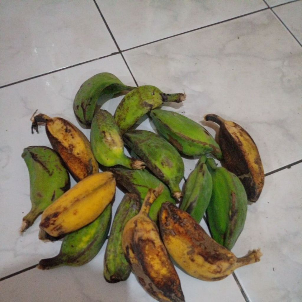 

pisang kepok kuning per 1 biji