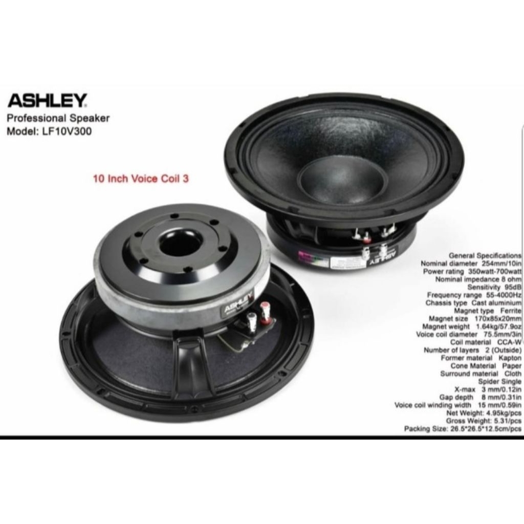 SPEAKER ASHLEY 10V300