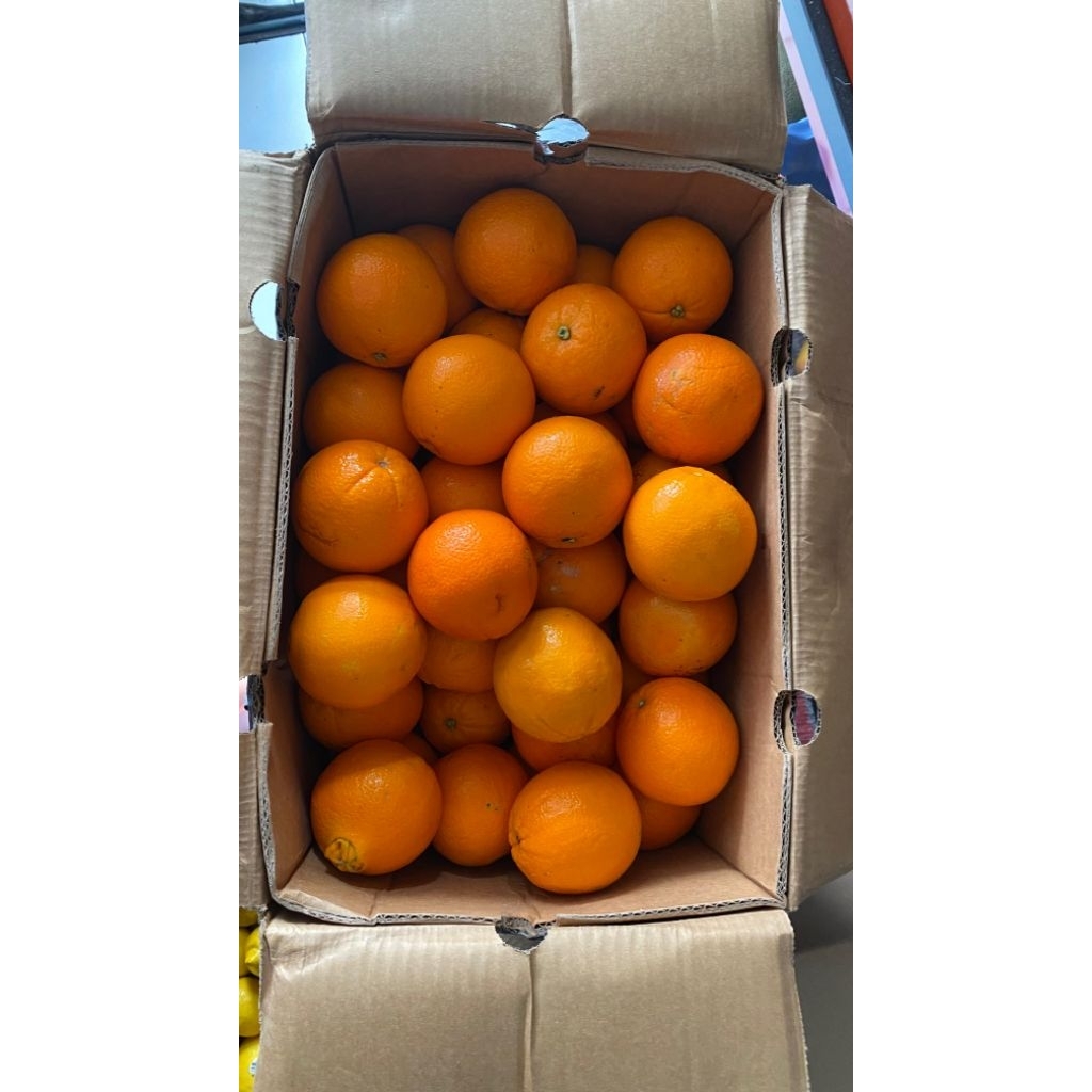 

JERUK NAVEL SUNKIST CARA-CARA AUSTRALIA (1kg)