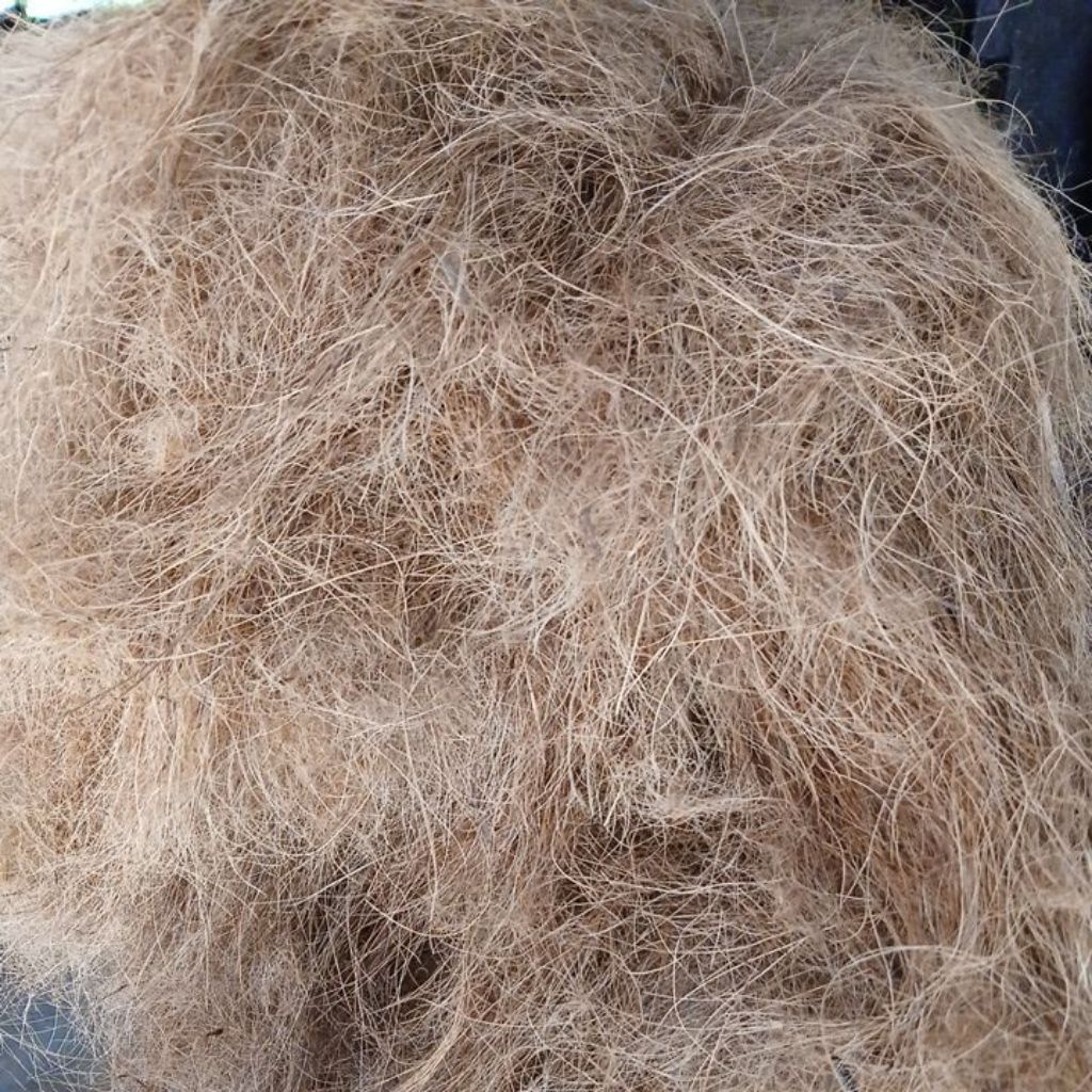 cocofiber 1kg  sabut kelapa sarang gurami