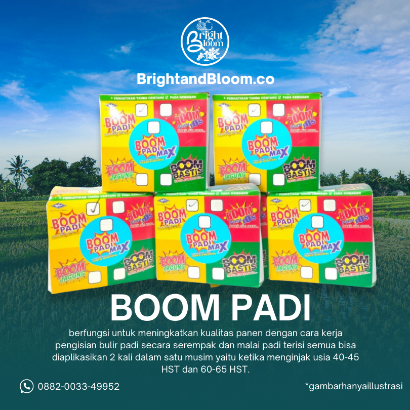 Boom Padi Penambah Bobot Padi Cap Kapal Terbang / Paket Boom Padi / Pupuk Padi