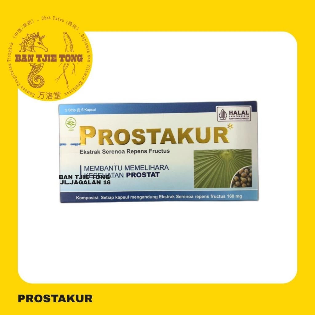 prostakur- obat kesehatan prostat
