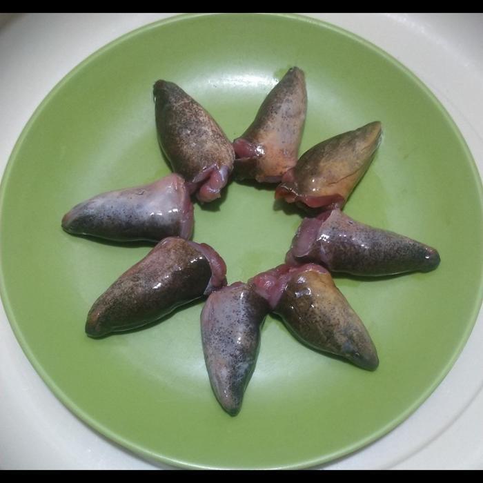 

Kepala belut 250 gram