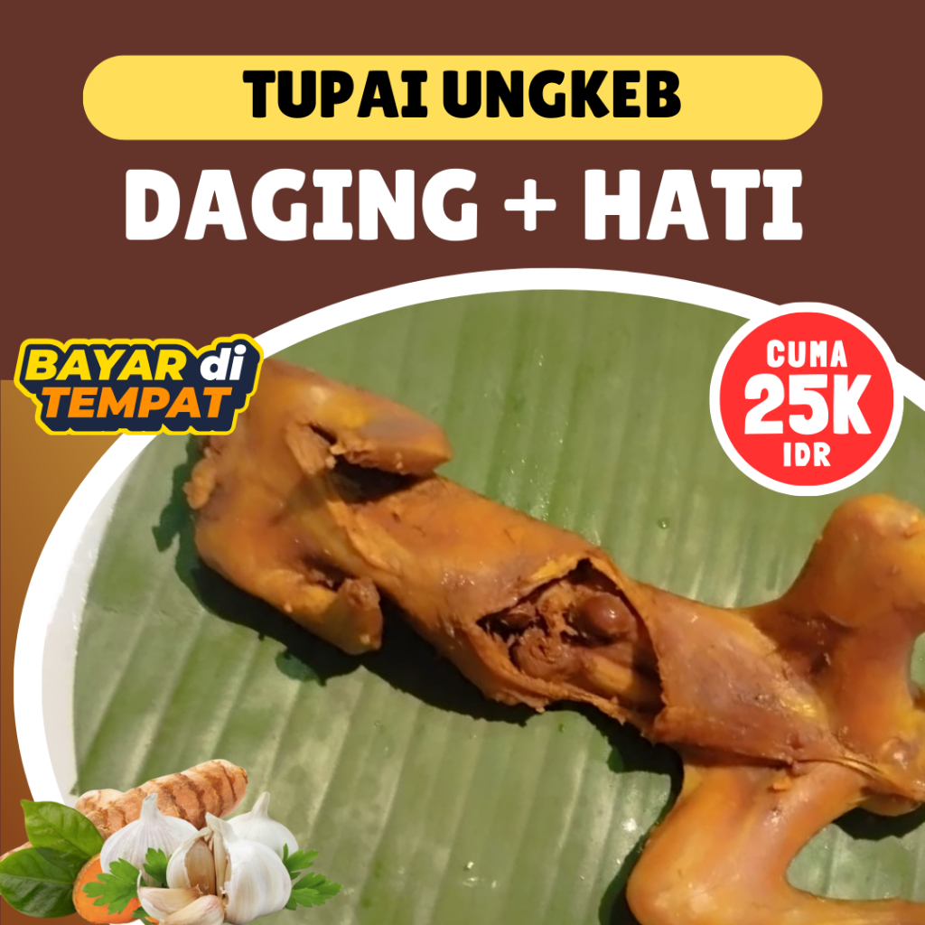

Daging Tupai Ungkab Bumbu Kuning Siap Goreng dan Bakar Per 1 Ekor dan Berhasiat