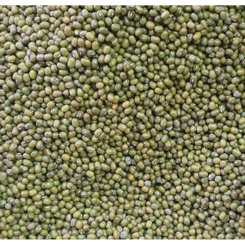 

kacang hijau mungbens