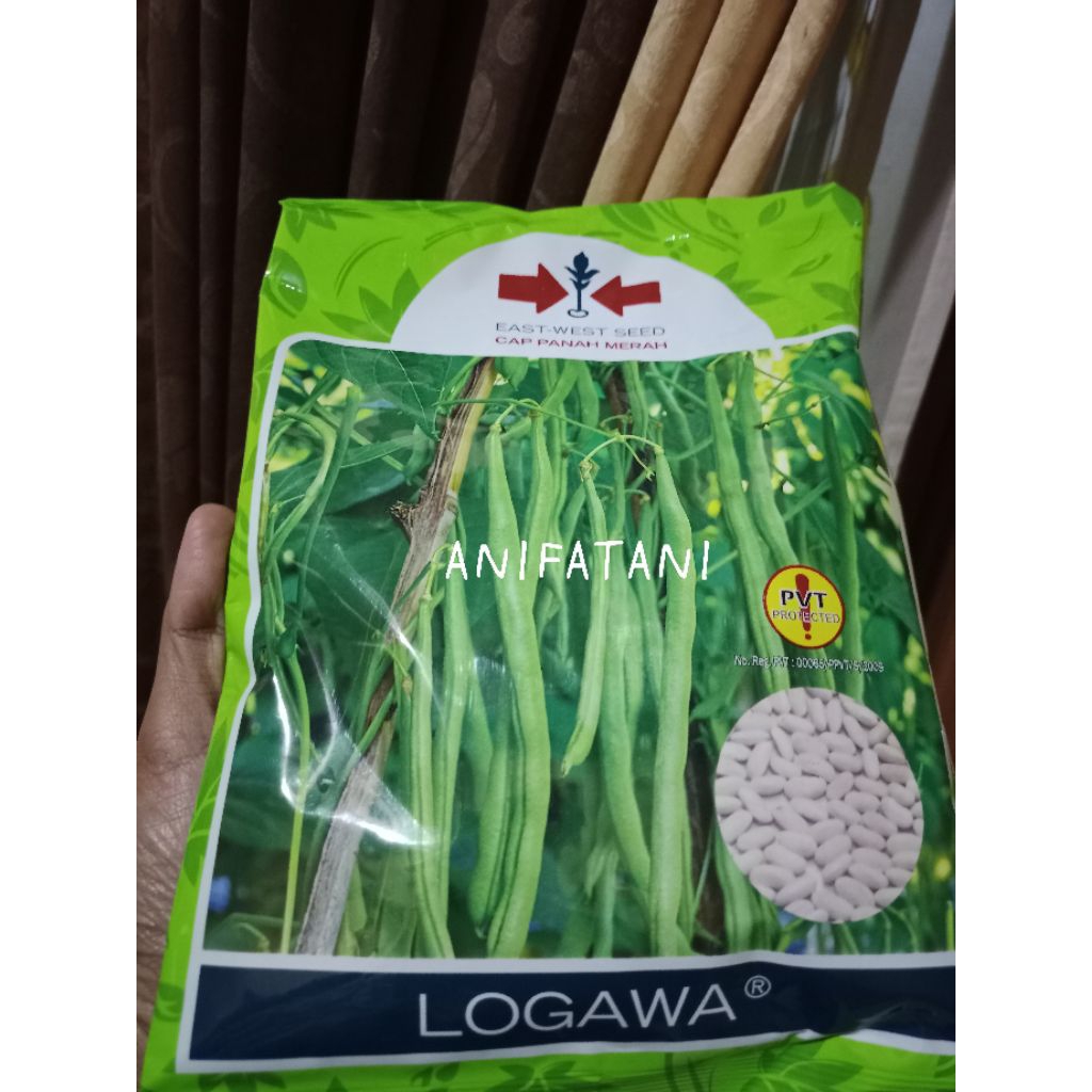 benih buncis LOGAWA 500gram