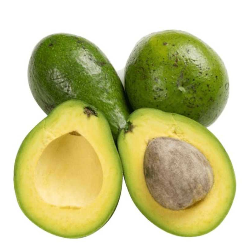 

Alpukat Mentega Super Gurih