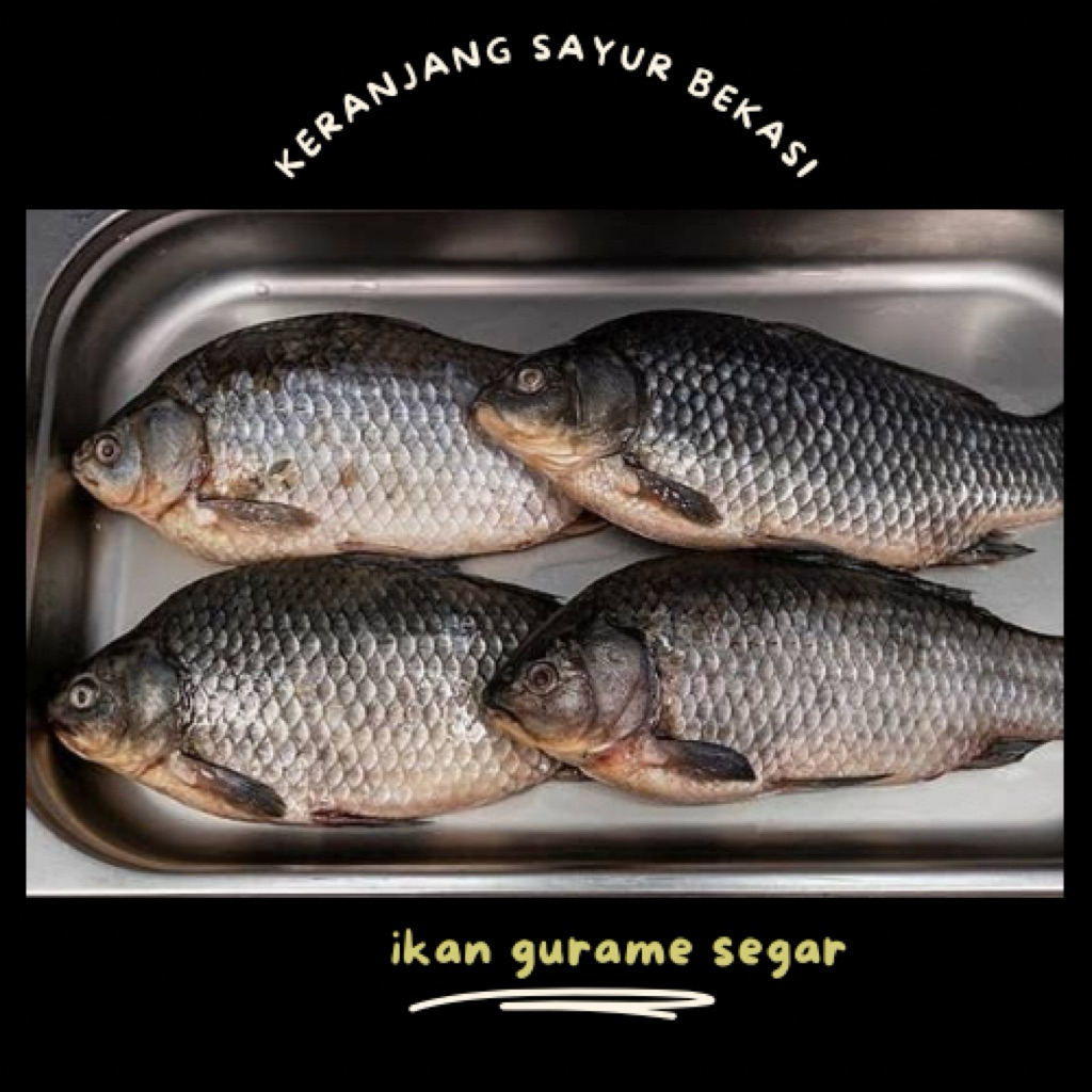 

ikan gurame segar / keranjang sayur bekasi