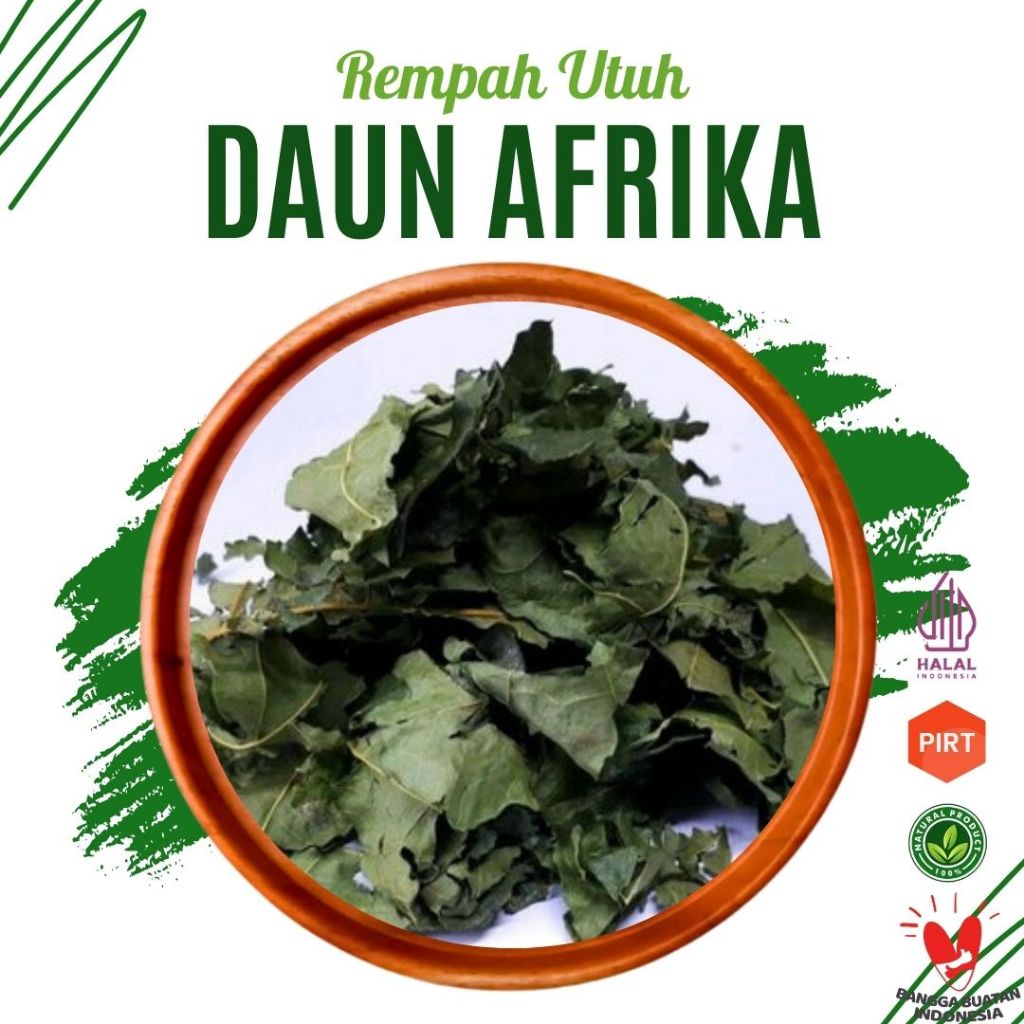 

Daun Afrika (Kering) Herbal Rempah Organik