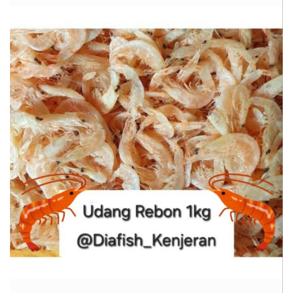 

Udang Rebon
