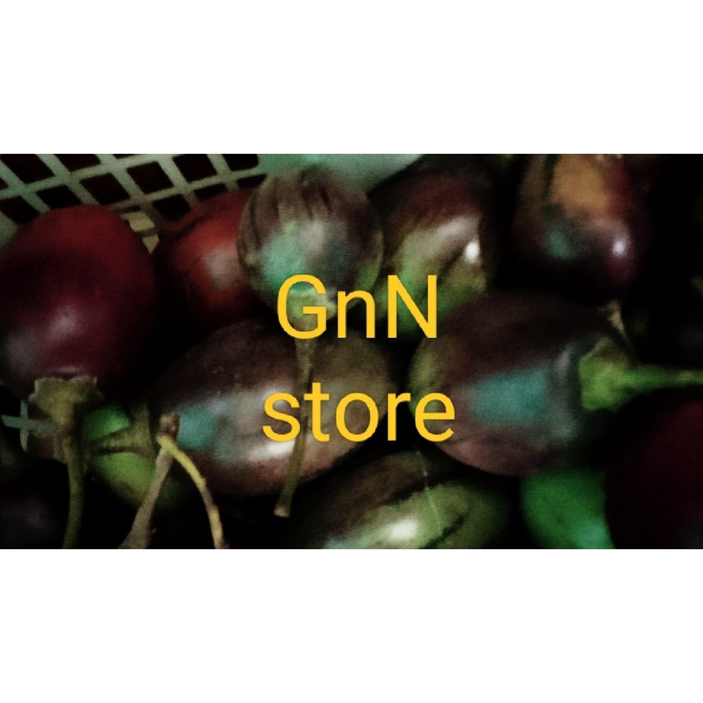 

1000g terong kori/terong belanda(readystok)