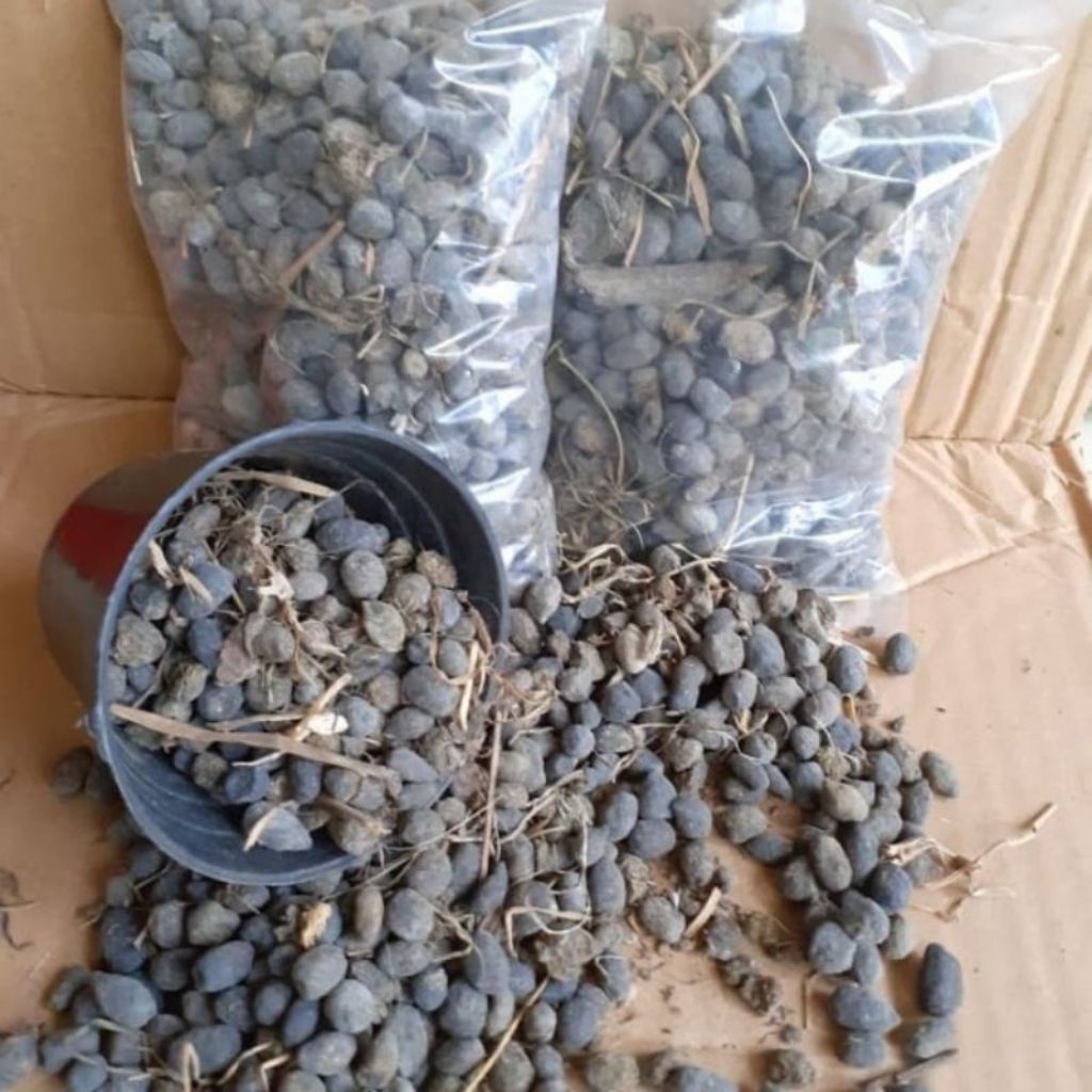 Pupuk kandang/Kotoran Kambing