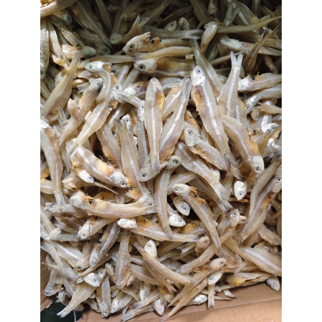 

ikan asin teri jengki jumbo