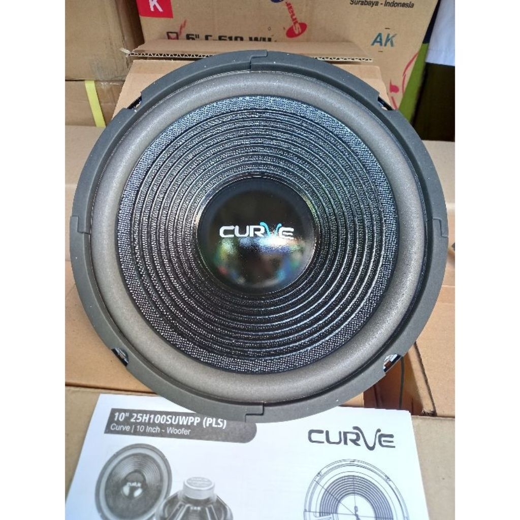 SPEAKER WOOFER 10 INCH CURVE