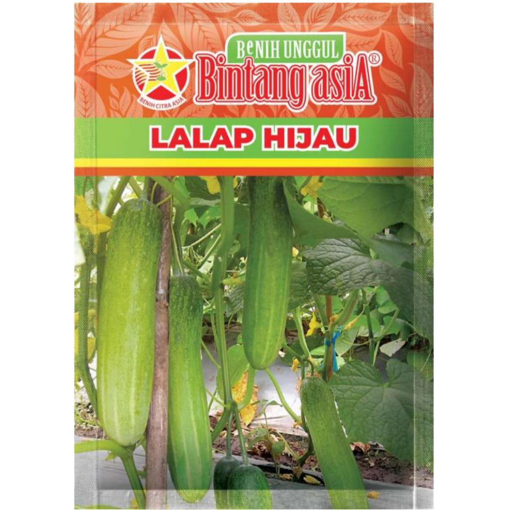 Benih Timun LALAP HIJAU 20 Gram Bintang Asia