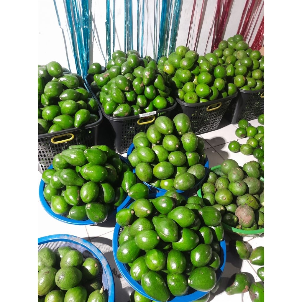 

[COD]Alpukat Mini 1kg