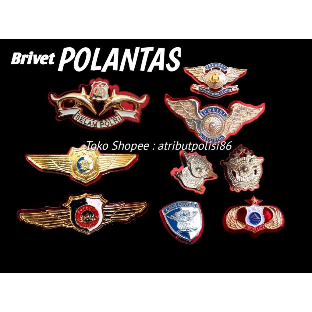 BRIVET LANTAS - PIN LANTAS - WING POLANTAS