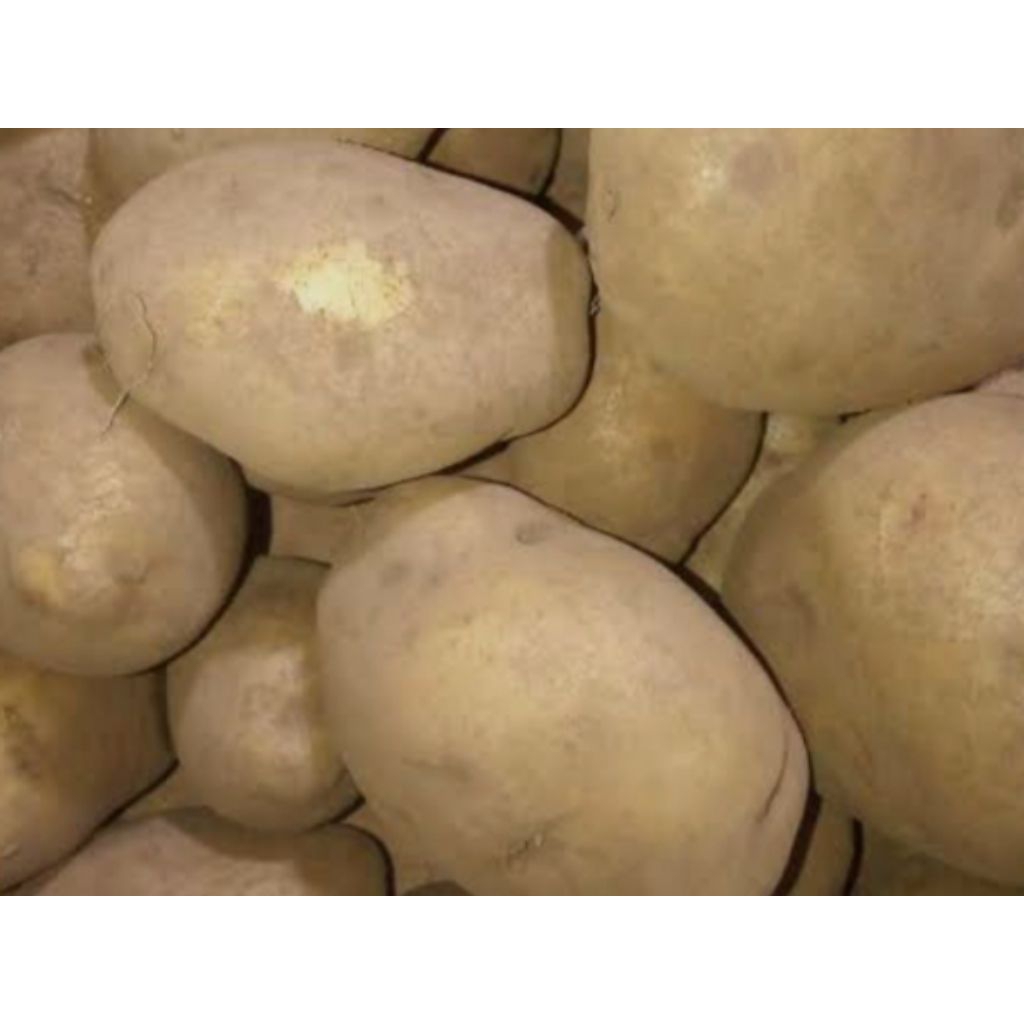 

Kentang Dieng Super 1kg