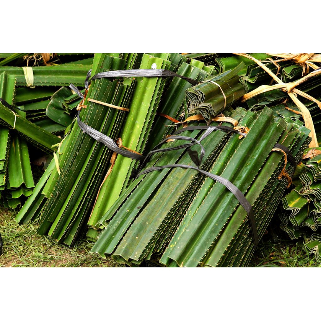 

daun pandan duri per ikat +-15 lembar | murah meriah | produk berkualitas