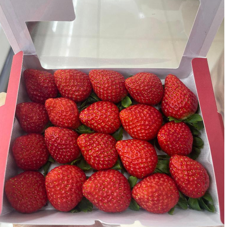 

Stroberi Merah / Korean Strawberry 250 Grm