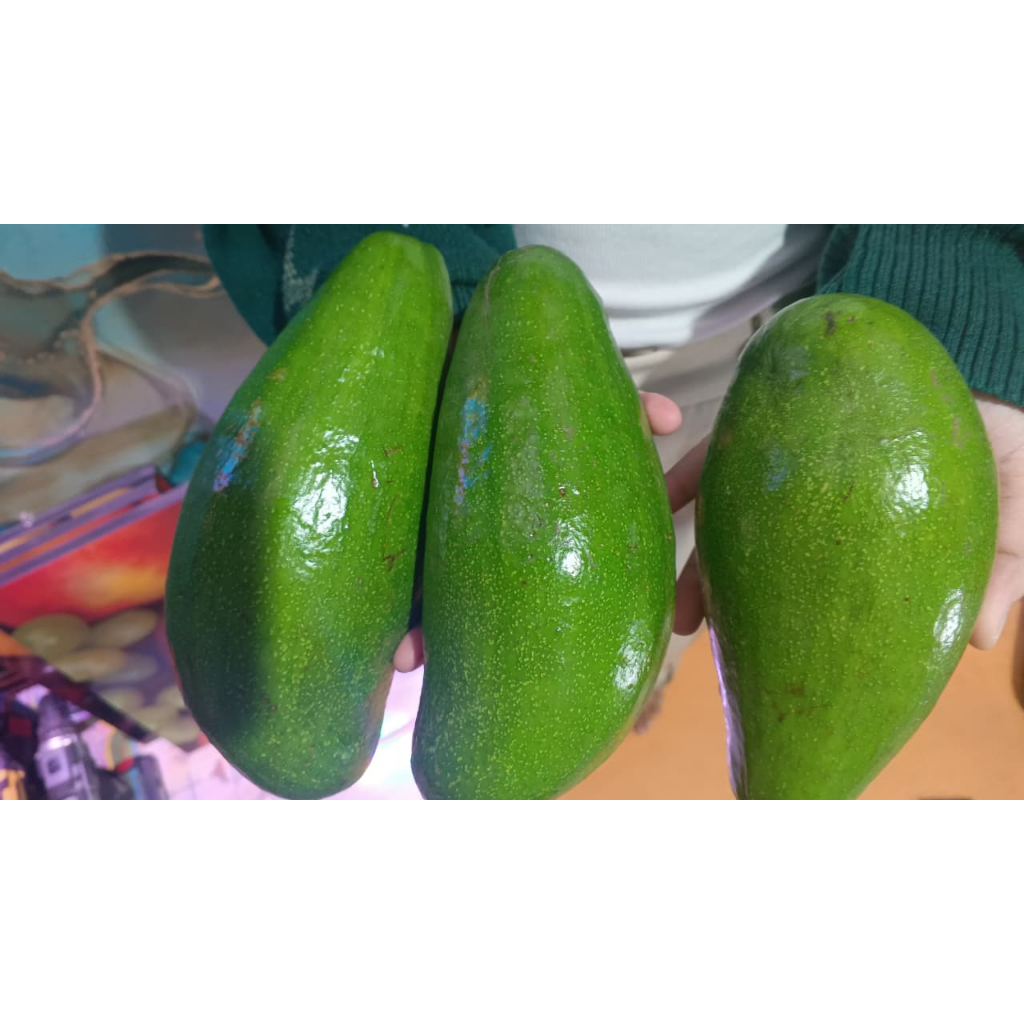 

Alpukat Segar Premium – Buah Alpukat Mentega Fresh Manis Lembut & Bergizi 1Kg