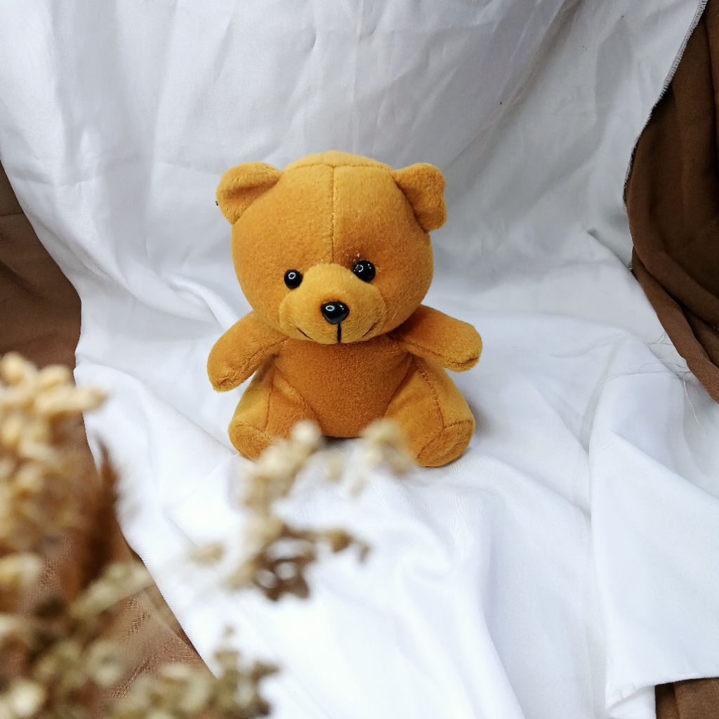 Boneka Teddy Bear Boneka Beruang Mini 13 CM -15CM