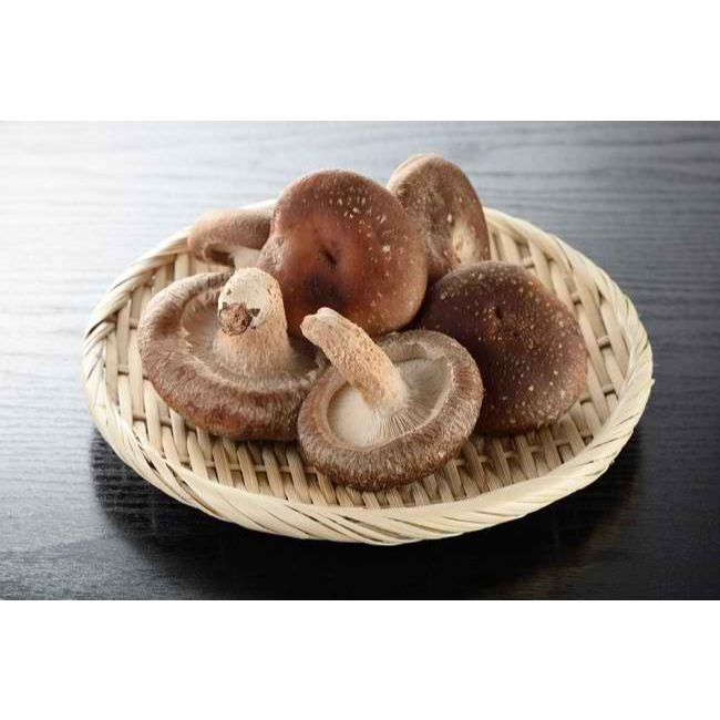 

[oddsolshop] pekanbaru/Jamur Shitake